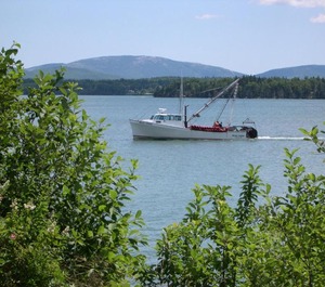 Narrows Camping Resort 