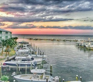 Harbor 