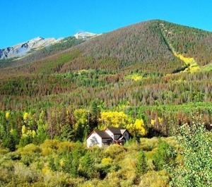 Mountain Side 