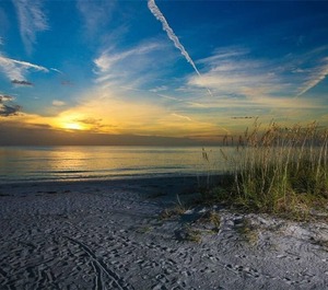 Beachcomber Longboat Key 