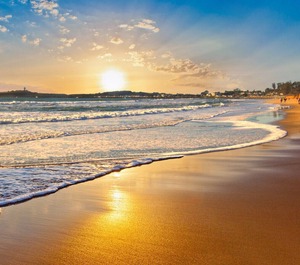 Htcaza San Francisco 