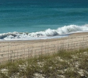 Ocean Club 