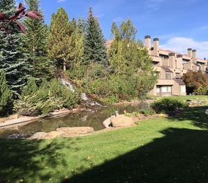 Olympic Suites Rental 