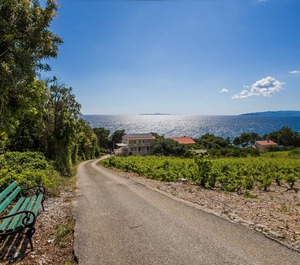 Beach Dingač Borak Pelješac 