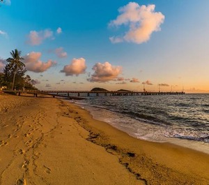 Palm Cove Accommodation 