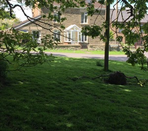 Cottage The Forest Of Dean Land 