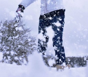 Ski Slopes Mountain Locker Superdévoluy 