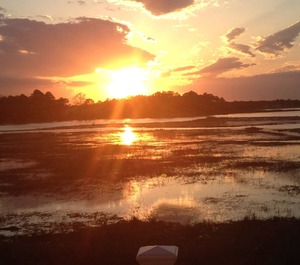 Bethany Bay Harbor Ocean 