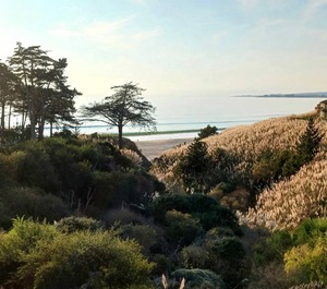 Seascape Aptos 
