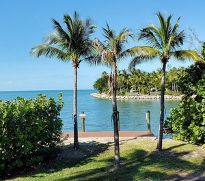 The Hammocks At Marathon 