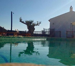 Rental Finca El Pocico People 