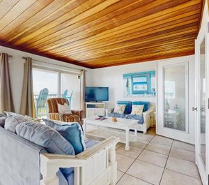 Seagull 