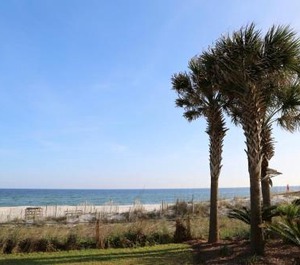 Phoenix Orange Beach 