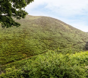 Shepherds Cottage Church Stretton 