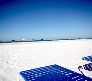 Cs Sarasota 