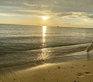The Beach Moorings 