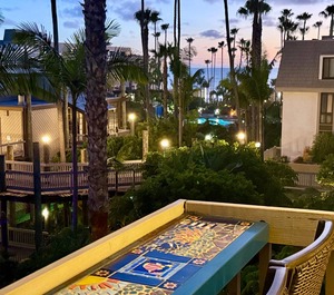 Palms 