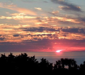 Beach Walker Fernandina 