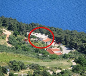 Sveta Nedilja 