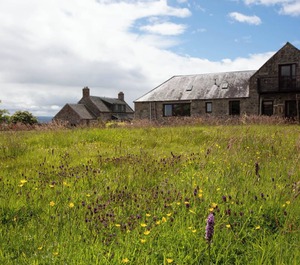 The Moray Firth Dolphins 