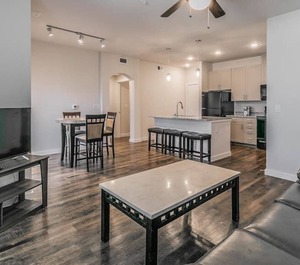 Texas Housing Solutions 