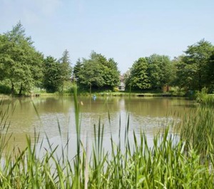 Cottage The Chestnuts Holiday Cottages 