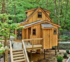 The Treehouse Grove At Norton Creek 