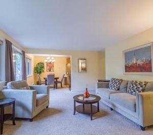 The Romeo Stairs Jacuzzi Bathtub New Carpet 