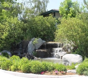 Renothunderbird Resort Timeshare Weekend Reno Nevada 