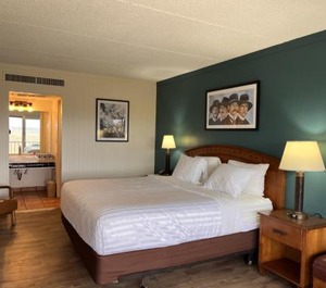 Landmark Lookout Lodge 
