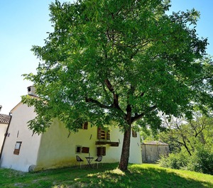 Stone Buzet 