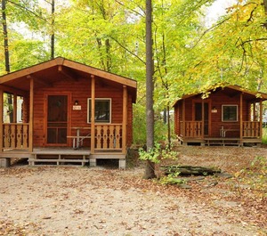 Tranquil Timbers 