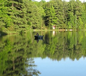 Turtle Cove Town 