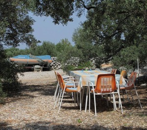 Terrace Sea Božava Dugi Otok 