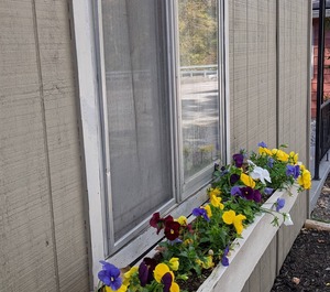 Fish Island Resort Cadiz 