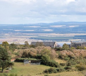 The Moray Firth Dolphins 