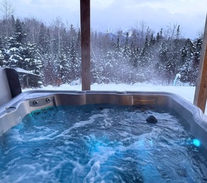 Log Cannon Mountain Attractions Table 