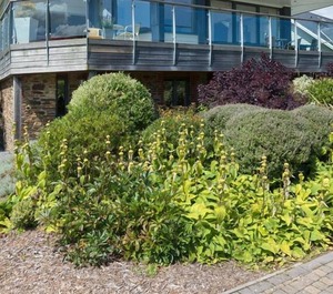 Vantage Point Hillfield Village Dartmouth 