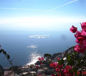 Rescator Resort Roses 
