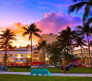 Arya Miami 