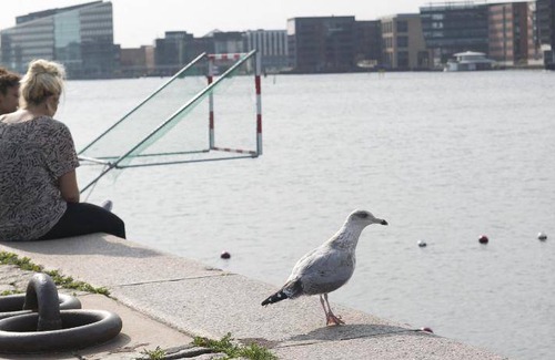 Amager Hotel | 130 m² Hotel ∙ 2 bedrooms ∙ 6 guests