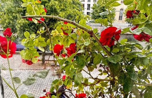 Christianshavn Villa | 225 m² Villa ∙ 5 bedrooms ∙ 10 guests