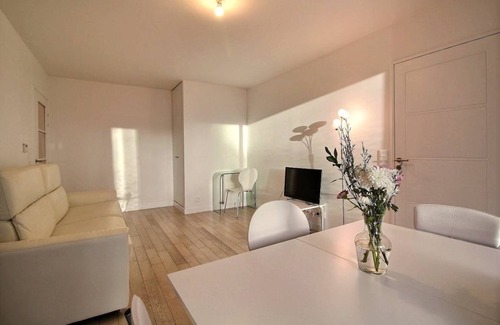 Billancourt–Rives de Seine Apartment | 48 m² Apartment ∙ 1 bedroom ∙ 1 guest