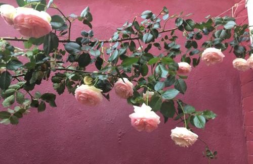 Gare Bed & Breakfast | La Maison Rouge