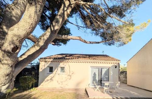 Entraigues-sur-la-Sorgue House | À l'ombre du pin