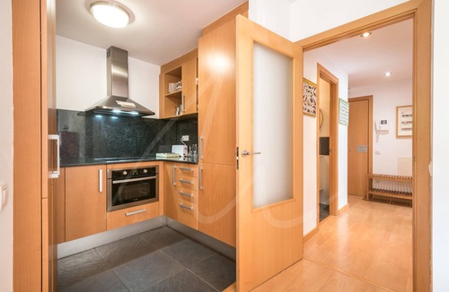 Alt Aneu Apartment | Àneu
