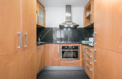 Alt Aneu Apartment | Àneu