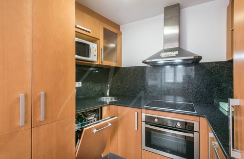 Alt Aneu Apartment | Àneu