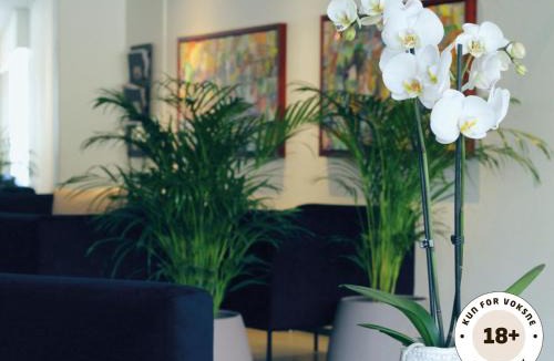 Marstal Hotel | Ærø Hotel - Adults only