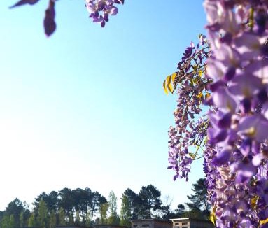 Saint-Pardon-de-Conques Hotel | Écolodges du Golf du Sauternais